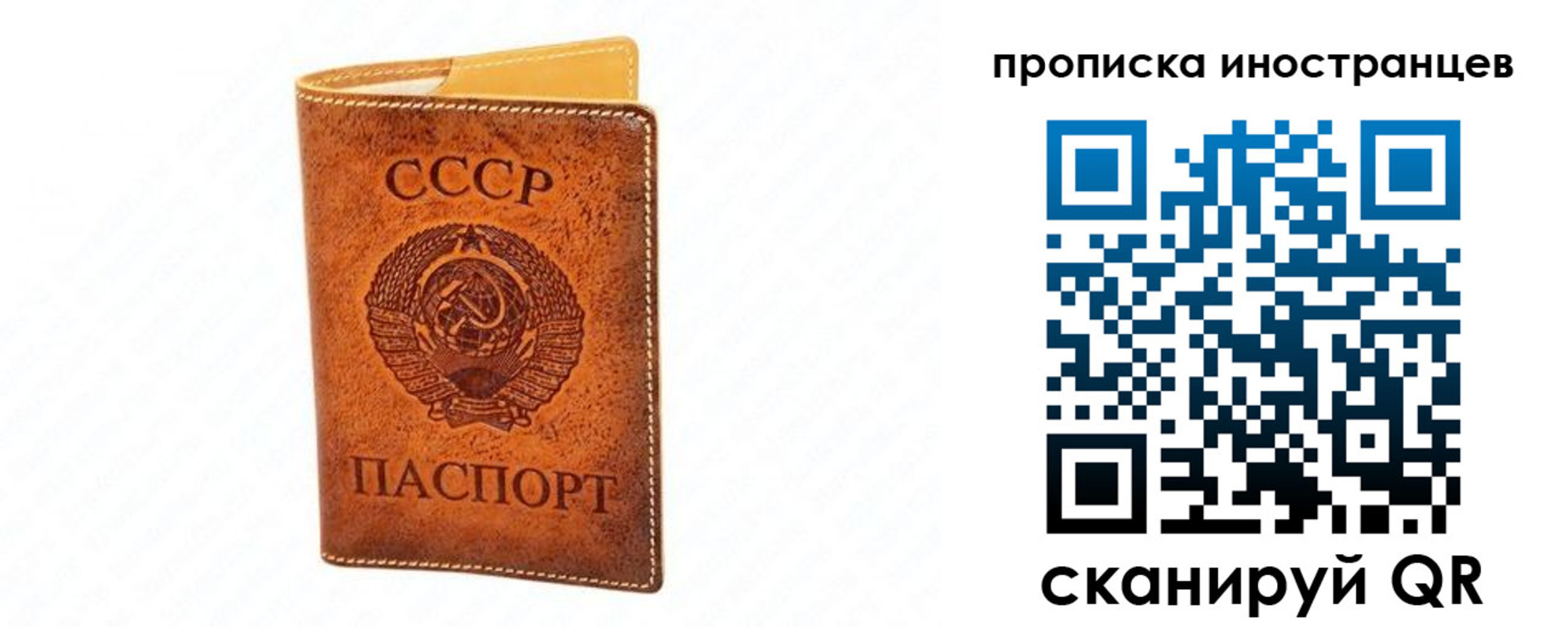 прописка для школы в Фролово